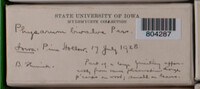 Image Associated With the Occurence